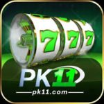 PK11 Game APK ( Top Related Earning Apps in Pakistan ) for Android